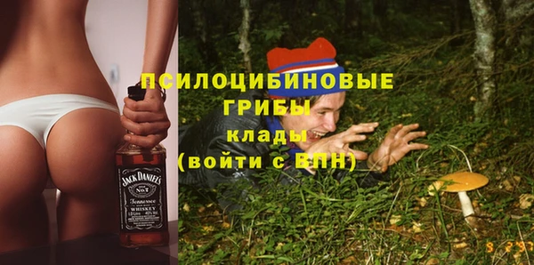 дмт Алексин