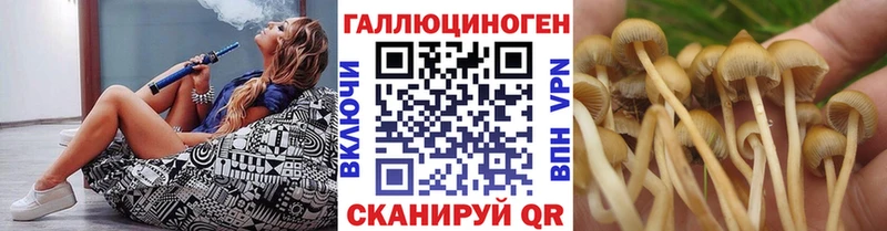 Галлюциногенные грибы мицелий  мега как войти  Покров 